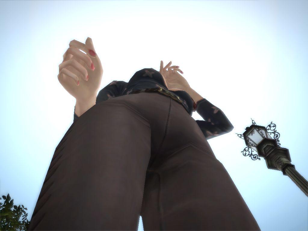 セレナ_004.jpg
